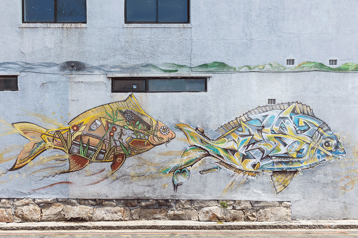 Typical Local Village Wall Murals Muizenberg