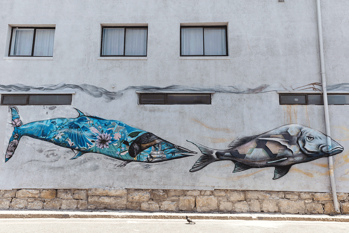 Typical Local Village Wall Murals Muizenberg