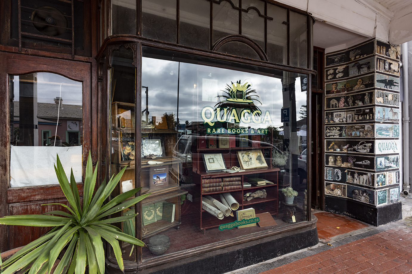 082Mb-9643 Quagga Famous Rare Book & Art Shop Kalk Bay